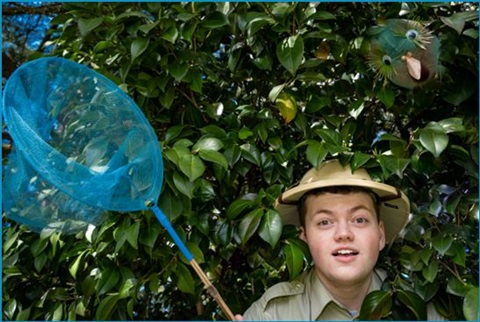 man in jungle with butterfly net